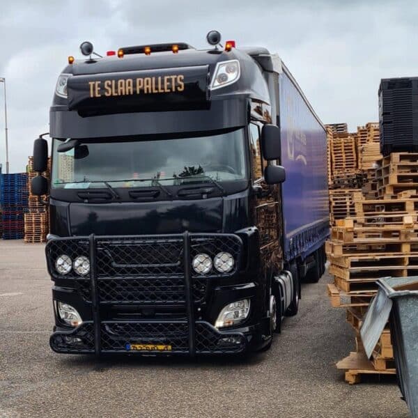 Bullbar DAF XF 105 / 106 Model O - Image 3