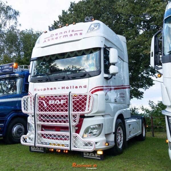 Bullbar DAF XF 105 / 106 Model O - Image 4