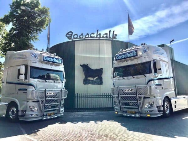 Bullbar DAF XF 105 / 106 Model X Off-Road - Image 4